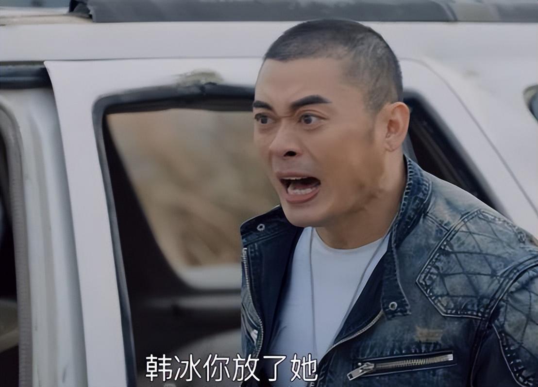 开云-收手吧樊少皇！别再把观众当傻子了，52岁拍个动作烂片雷人又无脑