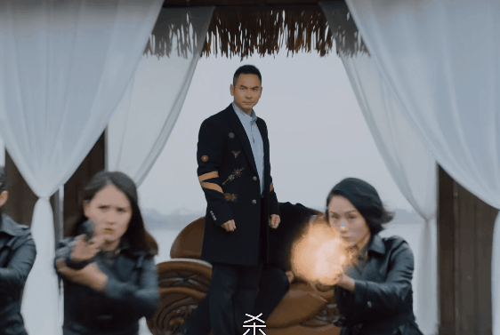 开云-收手吧樊少皇！别再把观众当傻子了，52岁拍个动作烂片雷人又无脑